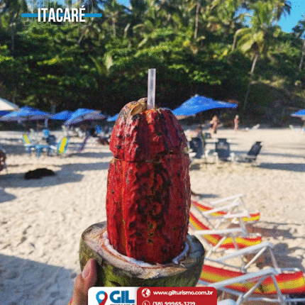 06/2026: JUNHO EM ITACARÉ -BA